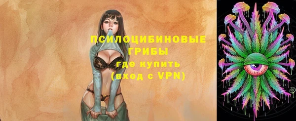 меф Гвардейск