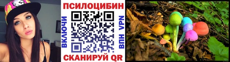 Галлюциногенные грибы мицелий  omg вход  Кораблино 